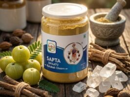 Saptadhaatu Rakshak Choorn 5